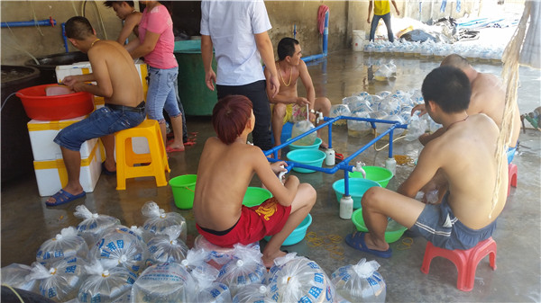 员工风采15.jpg